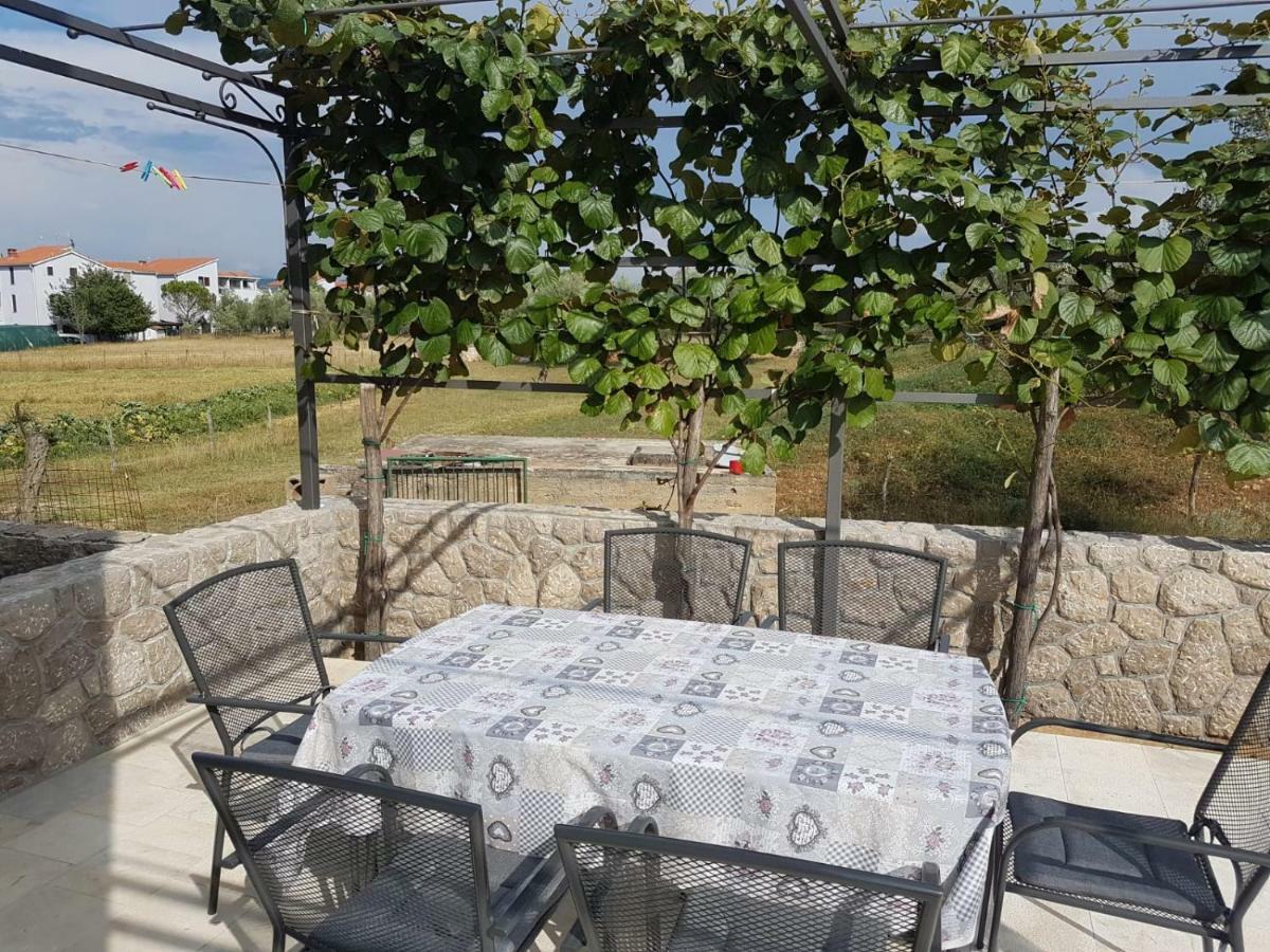Ana Apartman